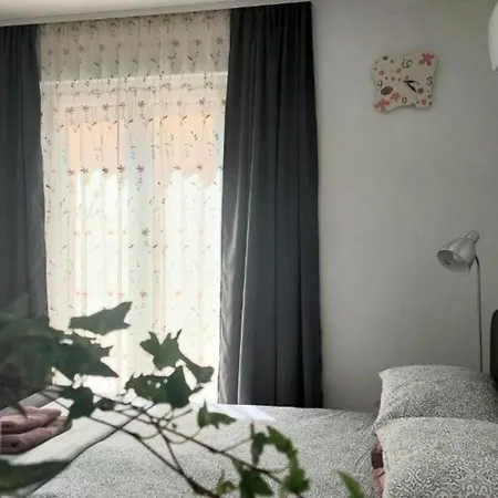 Boutique Pola